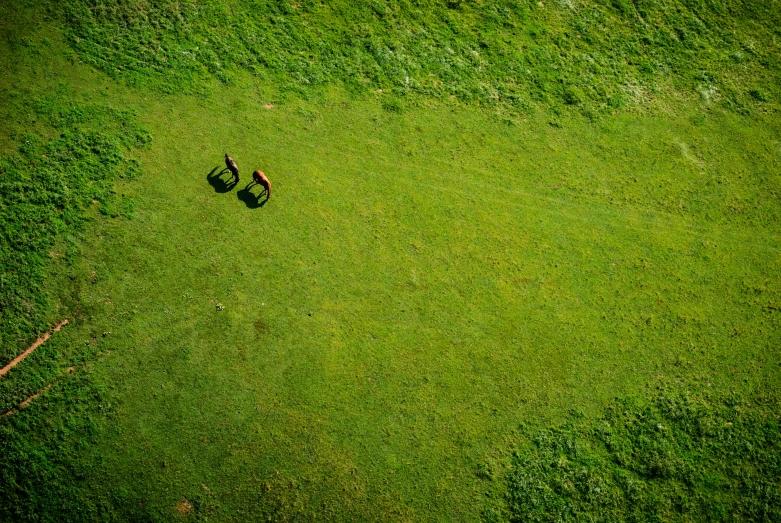 three people are standing in the middle of a green field