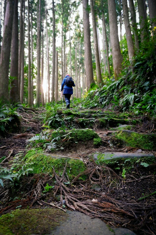 the hiker is walking up the side of a very steep incline