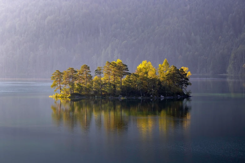 the island is surrounded by pine trees and still waters