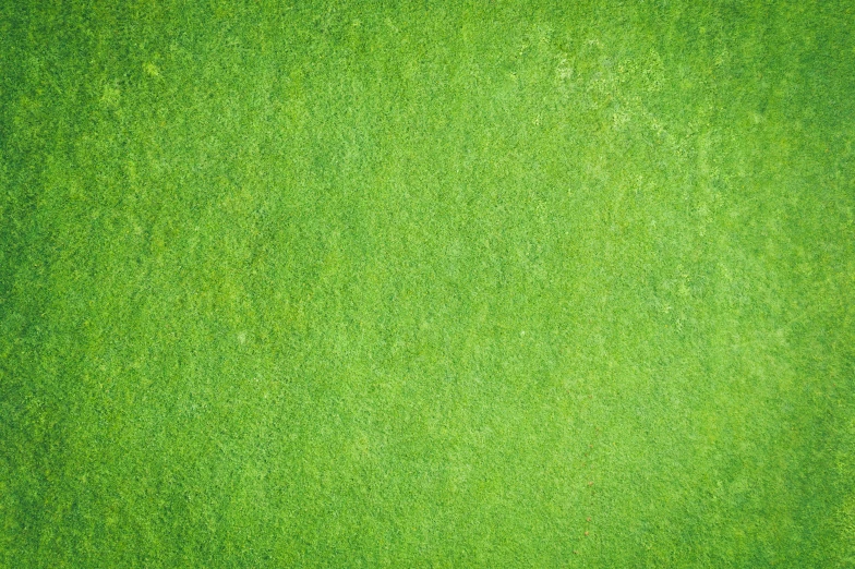 the top of an object with green grass