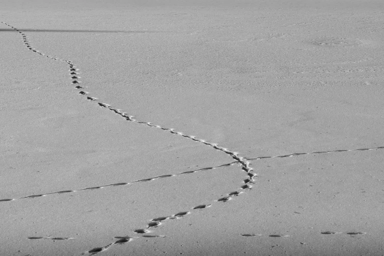 footprints in the snow with a long trail in the middle