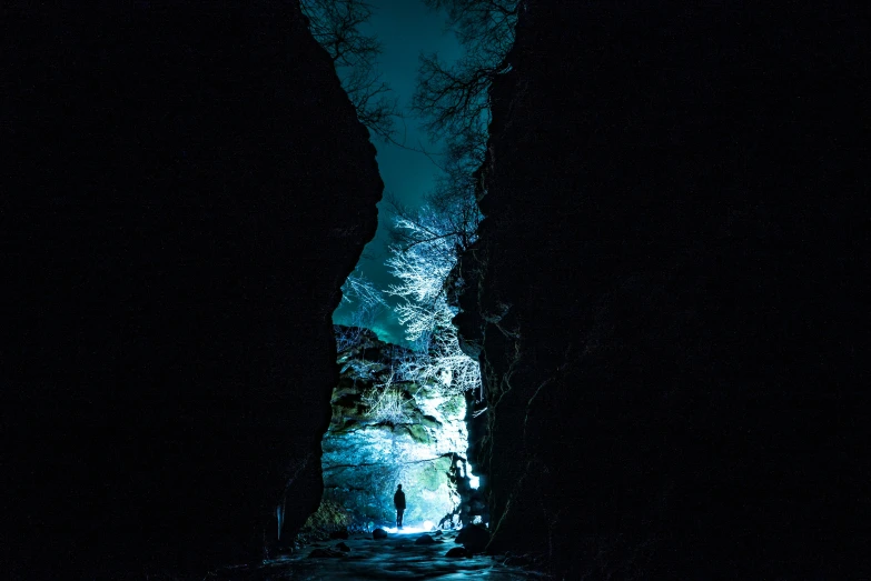 people stand at the end of the tunnel, with trees on either side