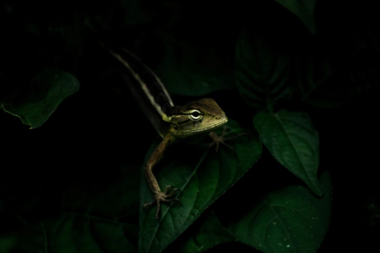 a small lizard is sitting on some green leaves