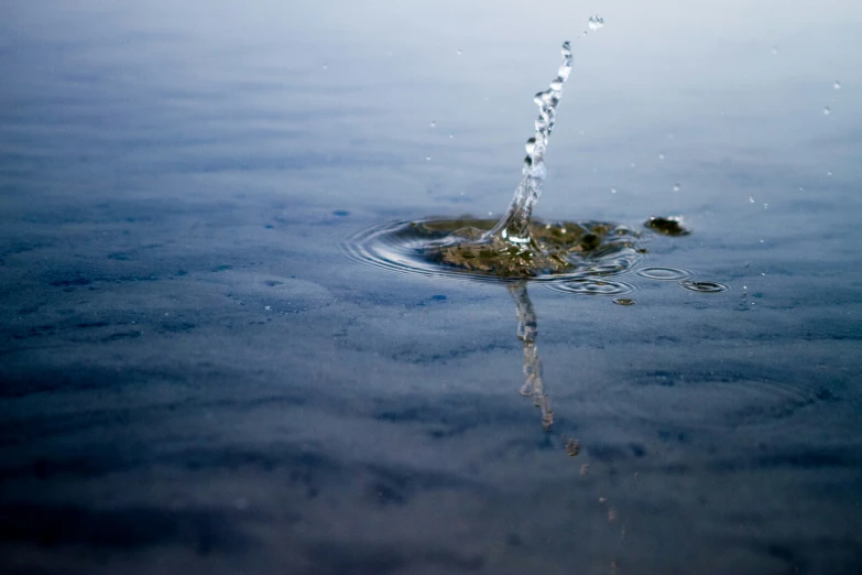 a small drop of water splashes into the air