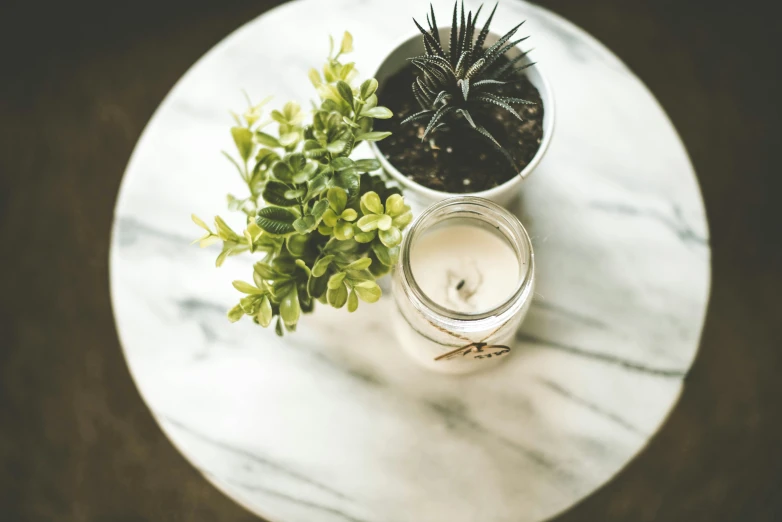 a small plant is sitting on a table