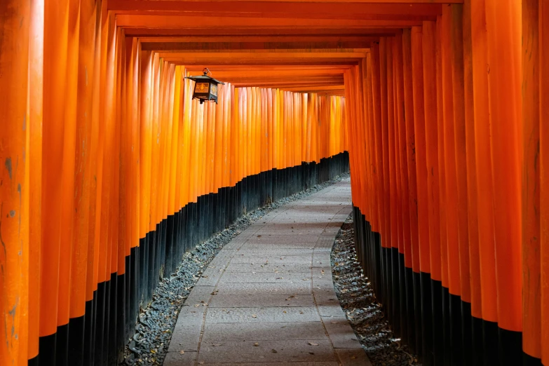 an orange hallway covered in many lines of material