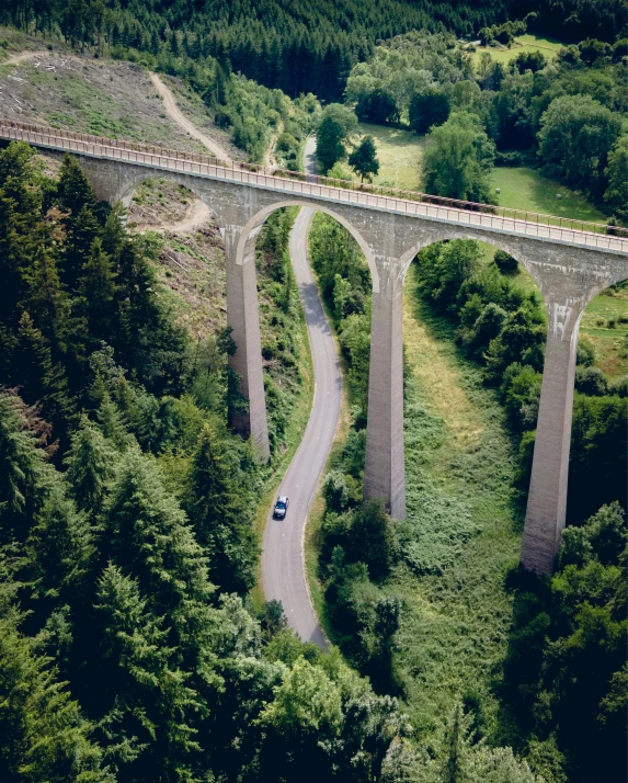 the bridge has four tracks leading to a train and trees