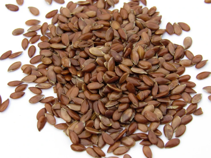 close up of seeds on white background with focus on them