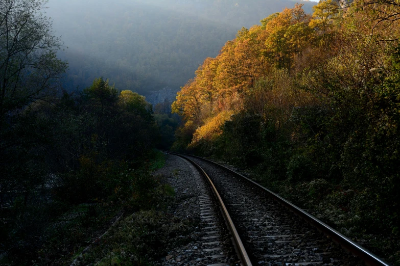 an old fashioned train tracks passing through a dense, forested area