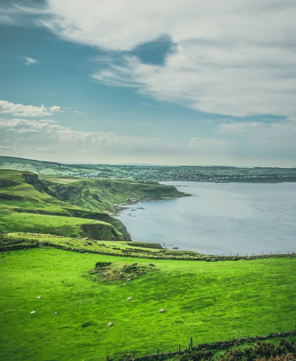 a grassy meadow with sea and land in the background