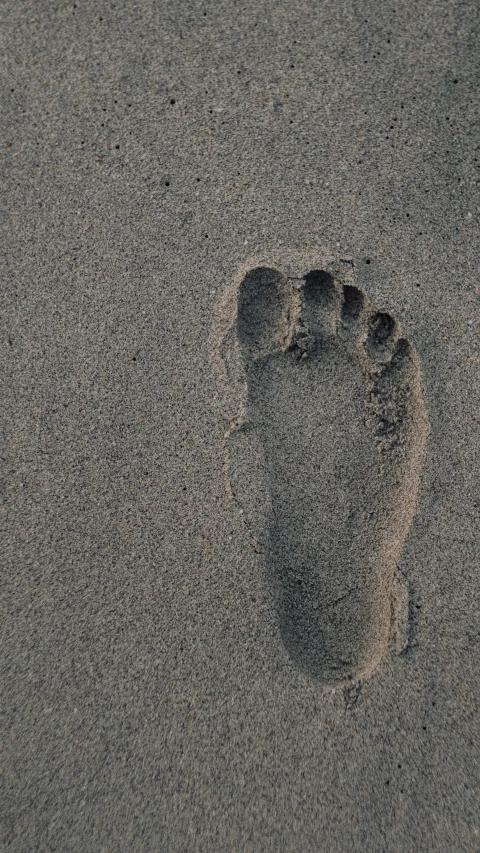 the pawprint of a person is seen in the sand