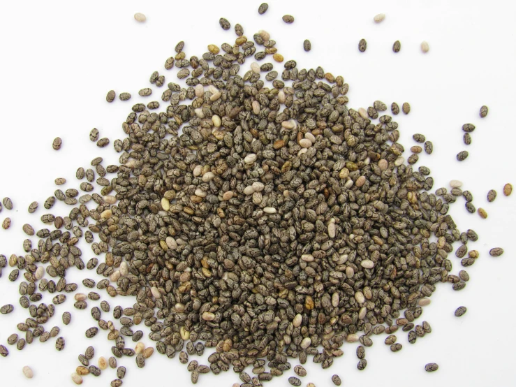 seeds are scattered across a white background