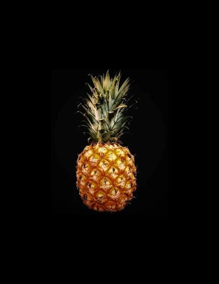 a pineapple standing still with the black background