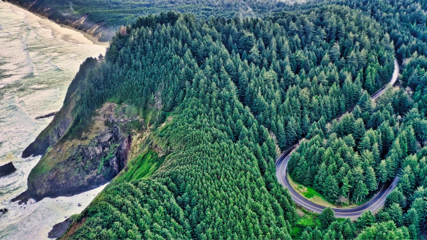 an aerial view of a large tree covered field next to a forest