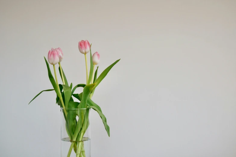 a glass vase with tulips on top of a wooden table