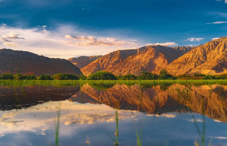 a body of water in a field with mountains in the background