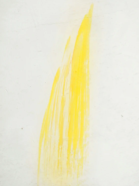 a painting on paper shows a long thin line of yellow