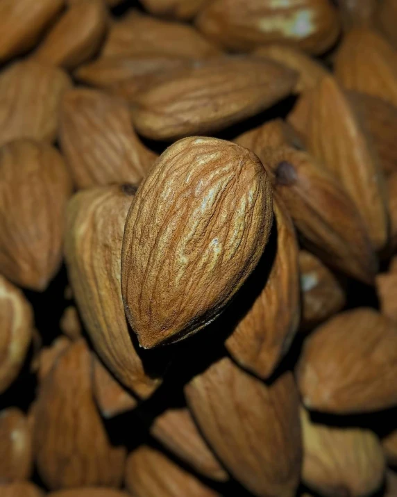 the nuts of the pistachio have many seeds in it