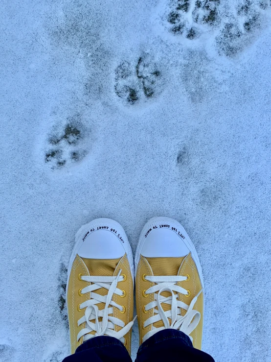 an empty pair of shoes and a snow covered ground