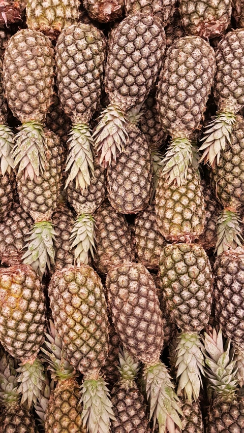 the group of pineapples is stacked on top of each other