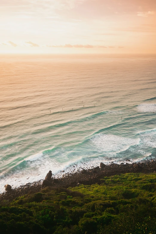 two surfers in the water near the shore