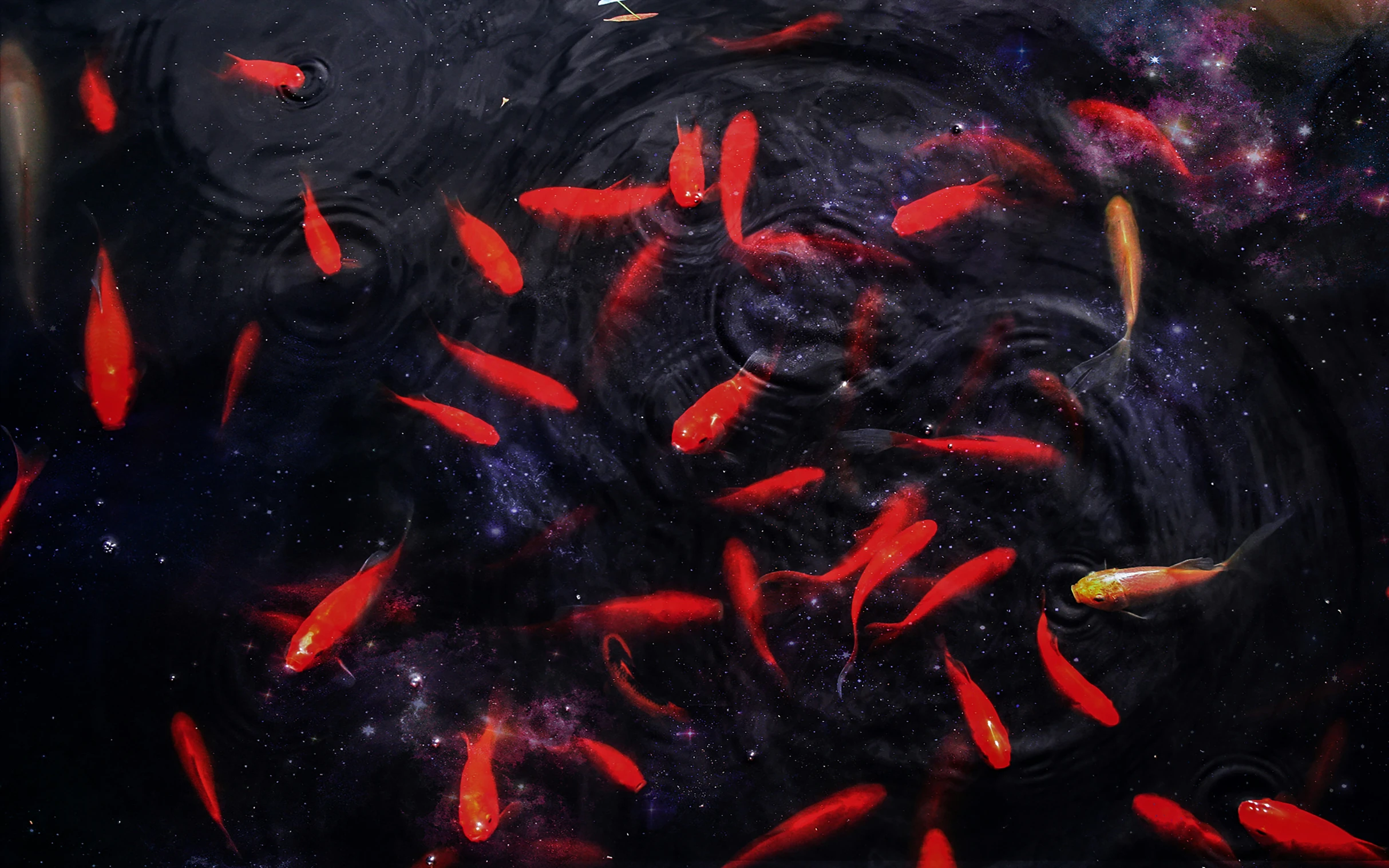 a group of fish swim around in an aquarium