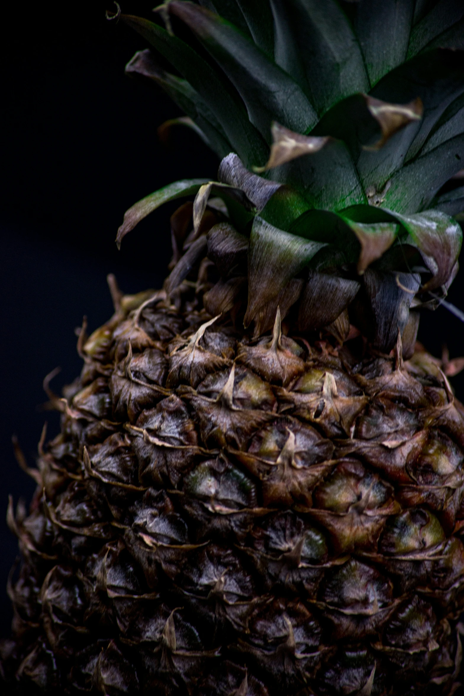 a close up view of the inside of a pineapple