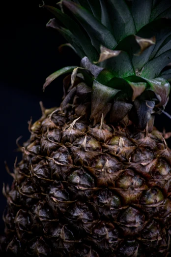 a close up view of the inside of a pineapple