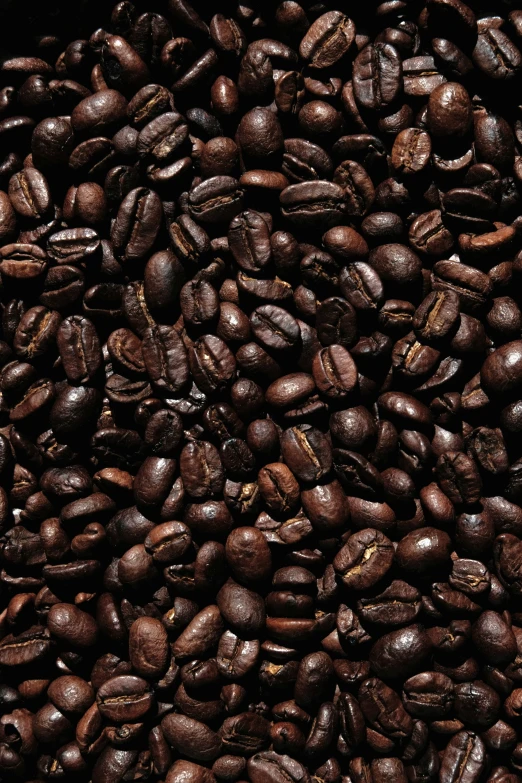 a brown coffee bean is placed next to other coffee beans