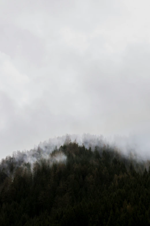 a large airplane flying over a forest in the sky