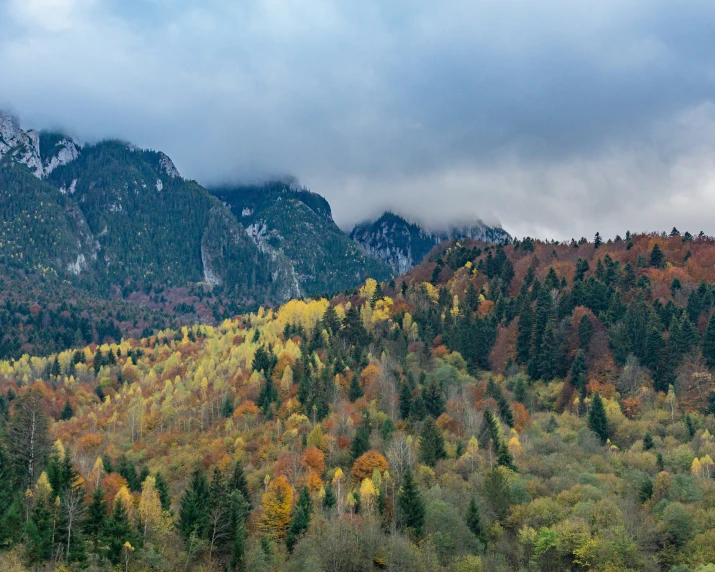 a view of the mountains in autumn