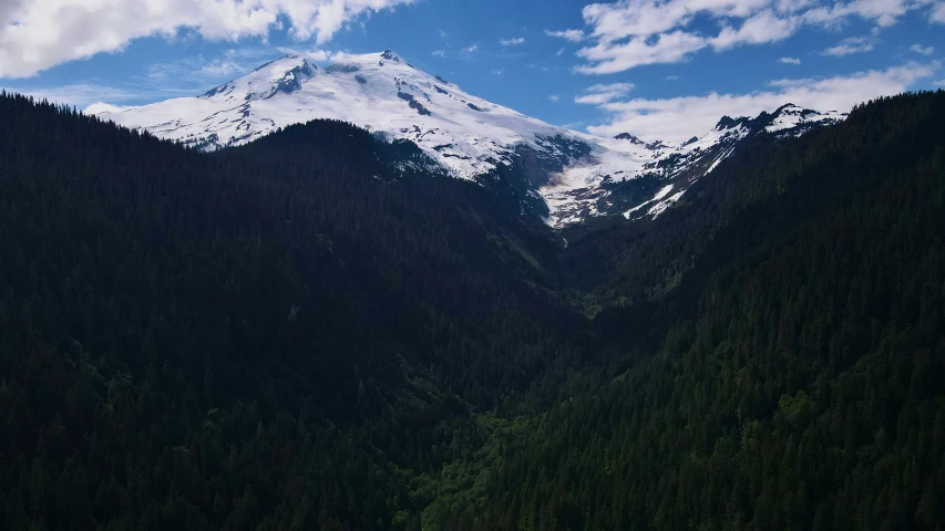 a mountain landscape shows pine trees, snow and blue sky