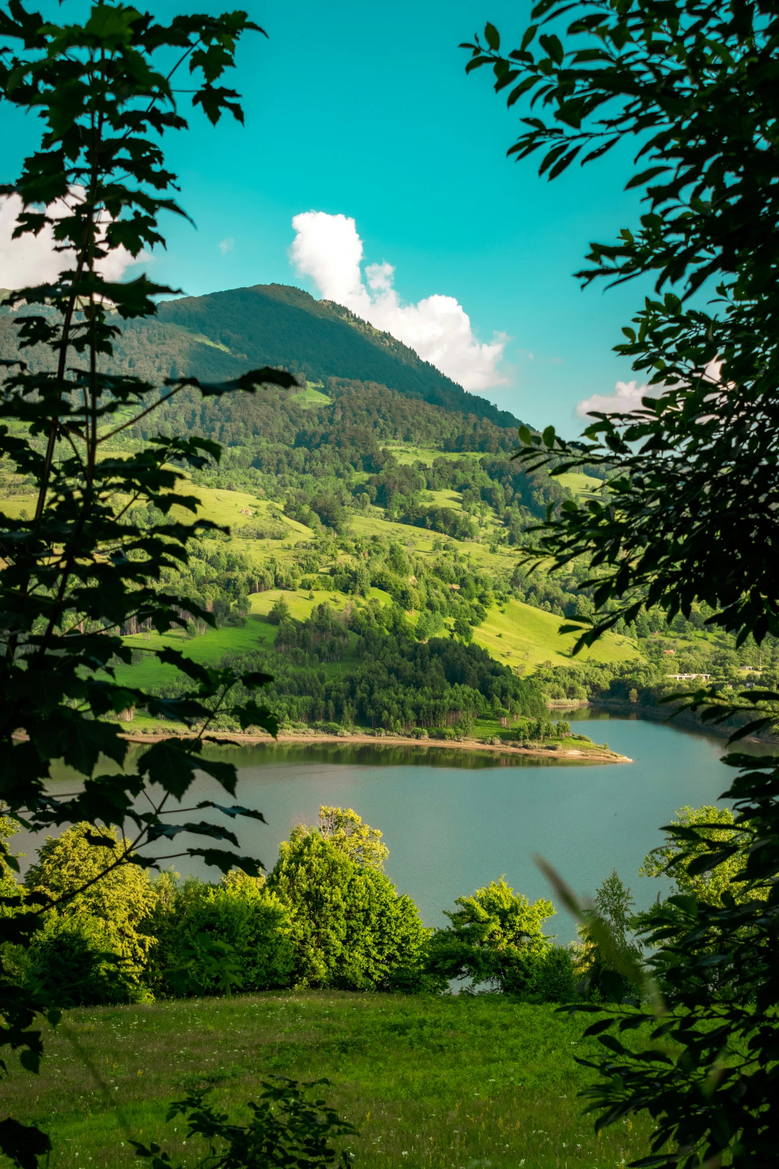 green forested hills surrounding a body of water