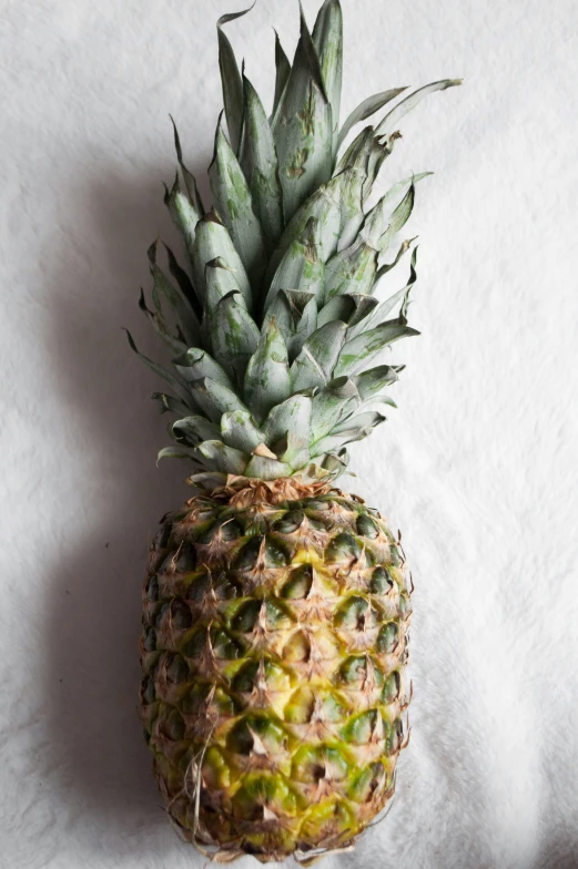 a single pineapple sits on a white surface