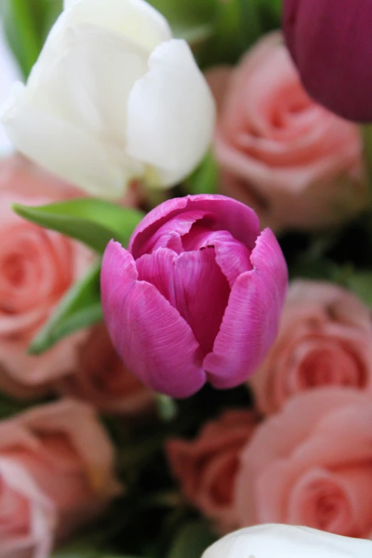 there is a beautiful white and pink bouquet