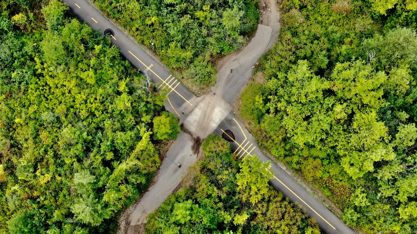 an overhead view of an intersection on a tree lined road