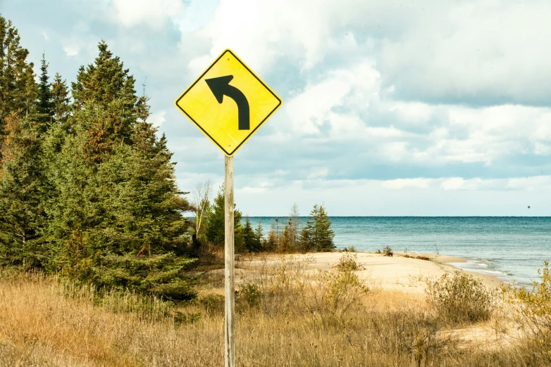 a road sign pointing to a beach, surrounded by trees