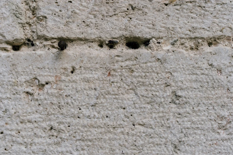 the concrete is textured with tiny white grains