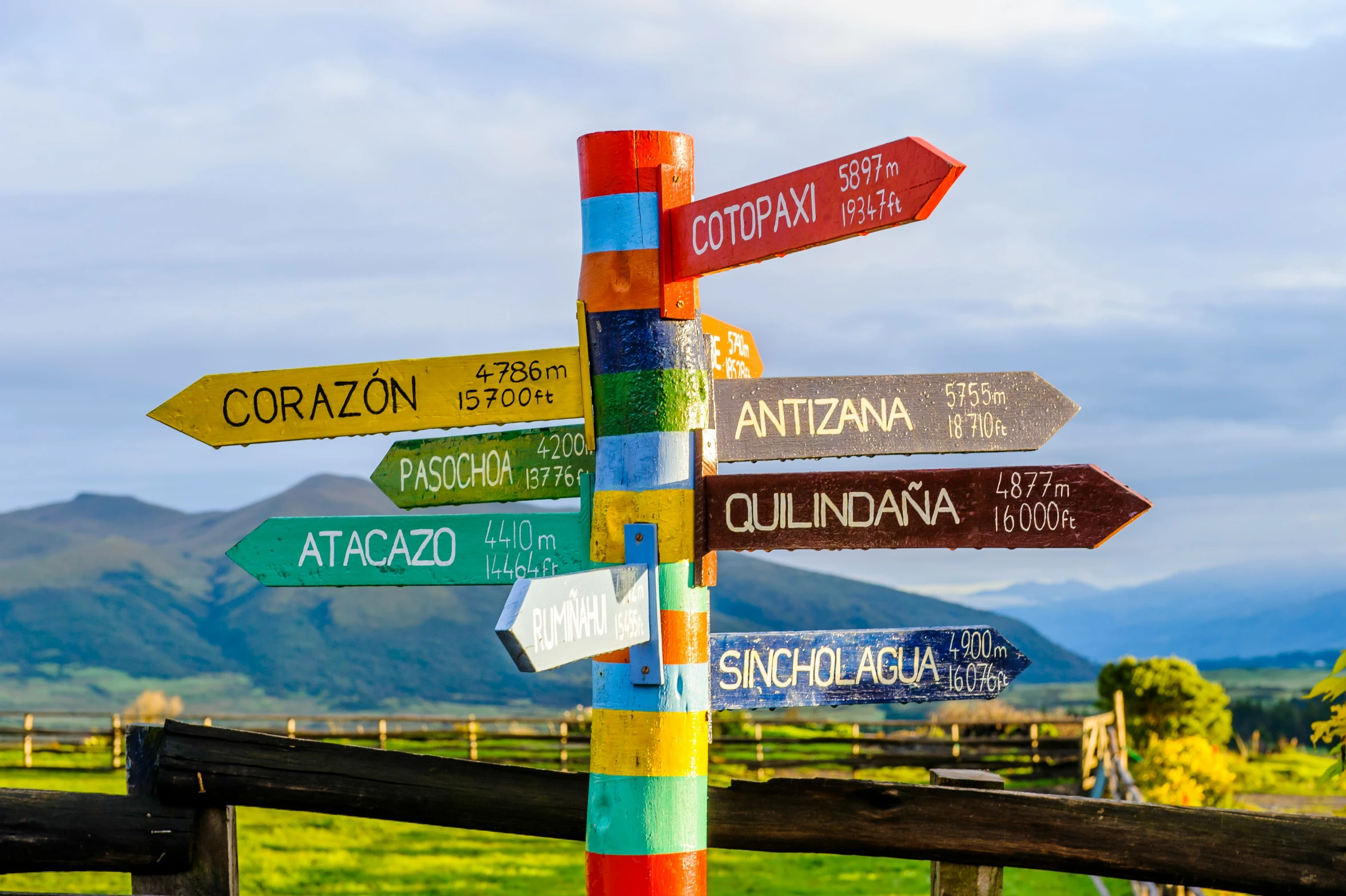 several different colored street signs on a wooden post