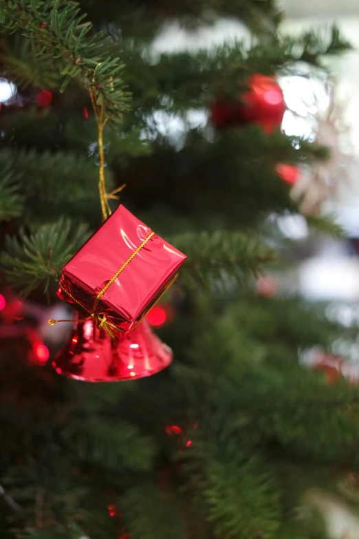 red gift box tied to tree with string