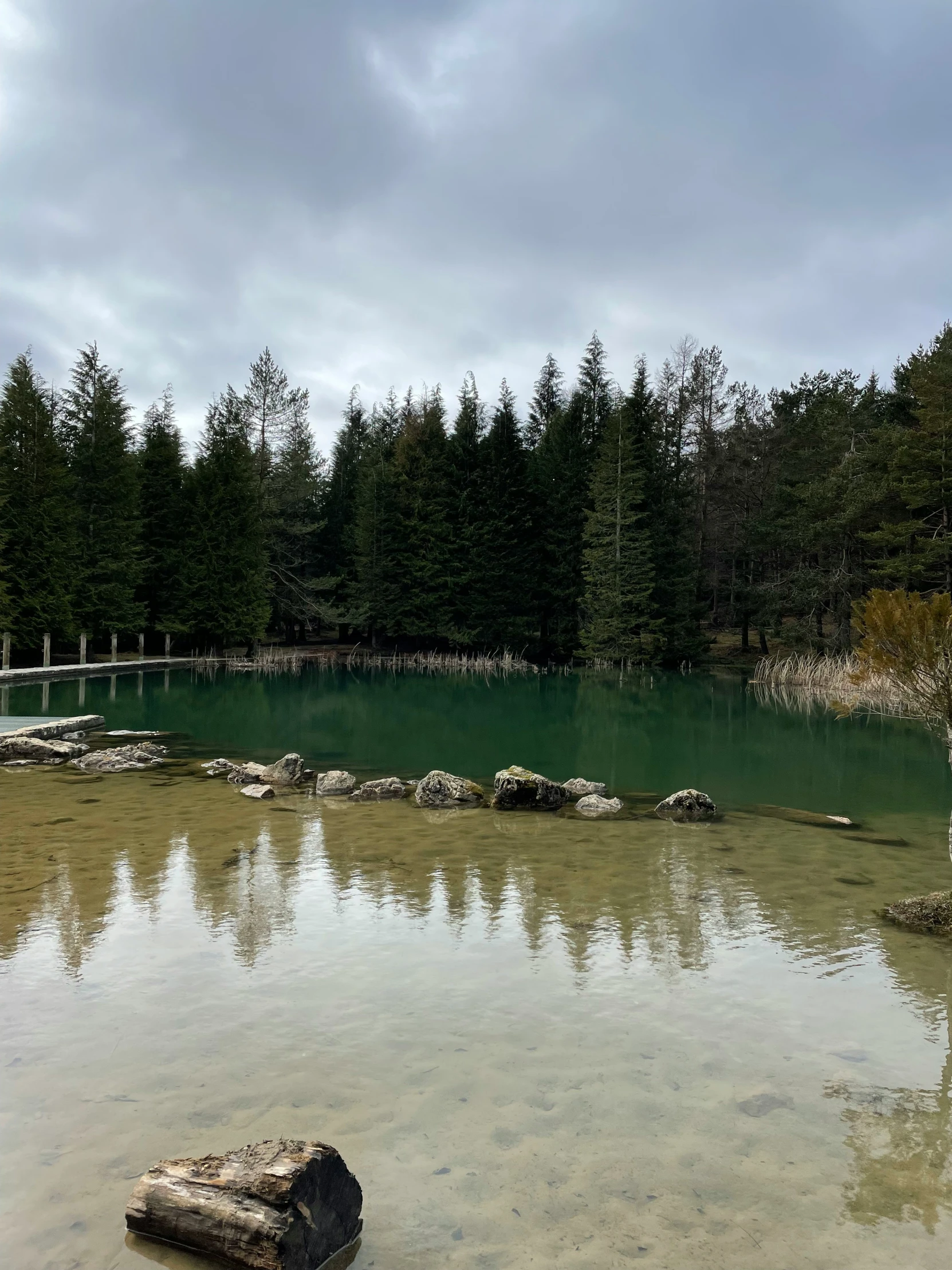 a lake with several trees on the shore