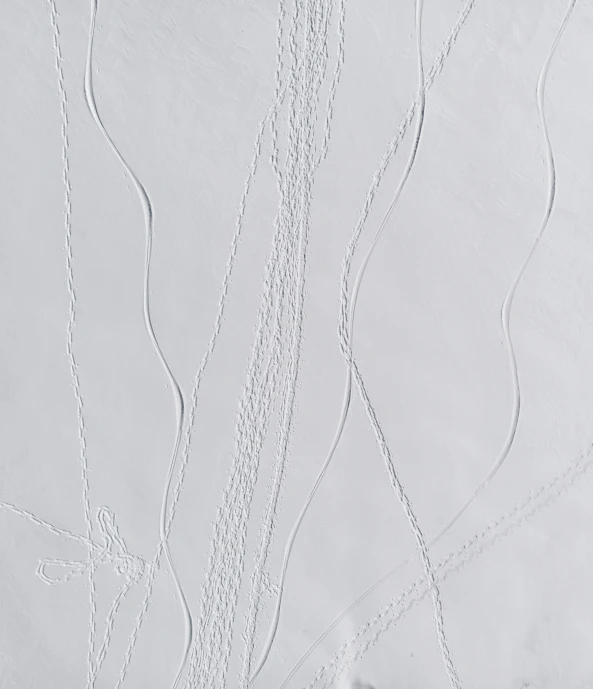 a white po that shows snow tracks in the white snow