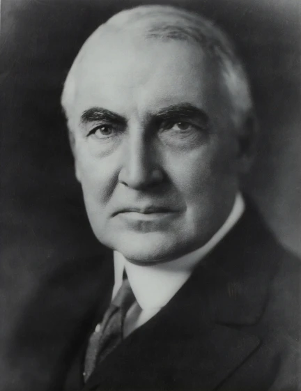 a man in suit and tie with an oval - shaped mustache