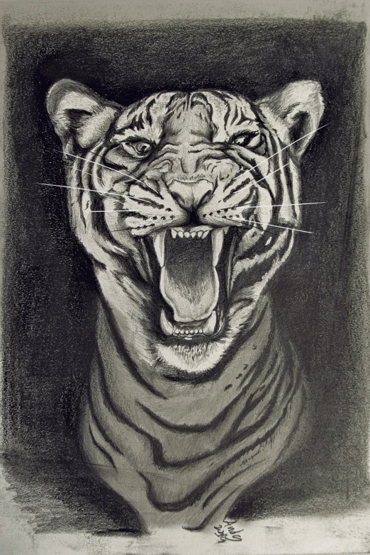 a black and white drawing of a tiger