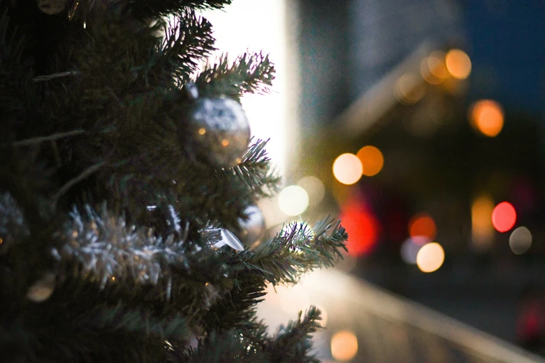 some blurry lights behind a small pine tree