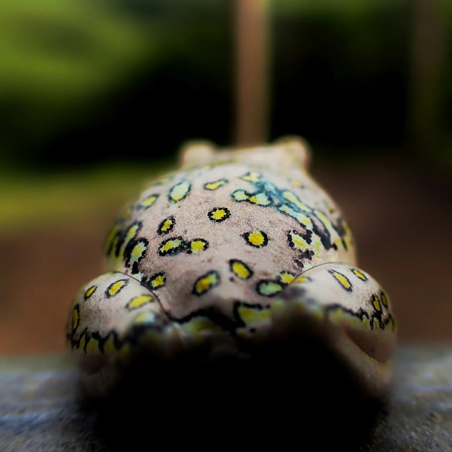 a stuffed toy animal with yellow and black designs