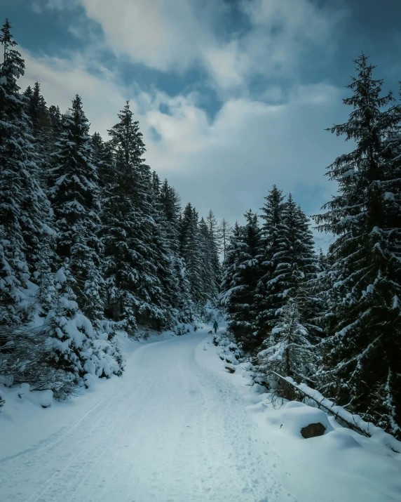 a snow covered path with trees in the background