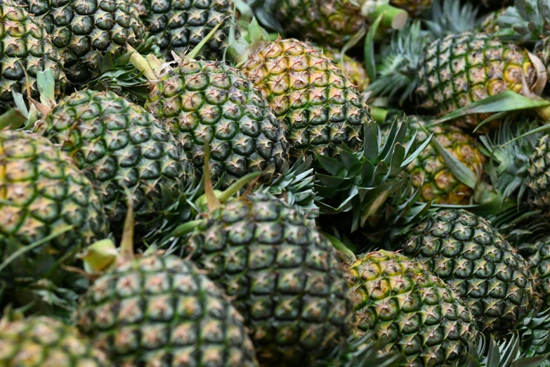 a pile of ripe pineapples are stacked up