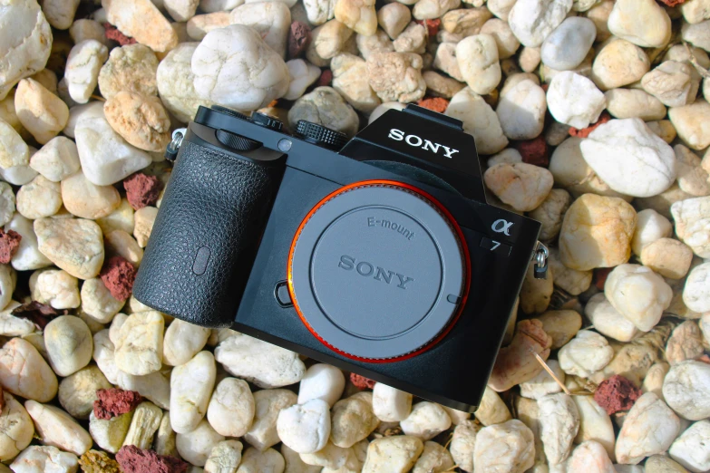 the sony f - series camera is lying on rocks