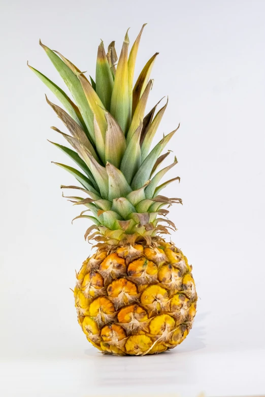 a pineapple with multiple leaves and yellow fruit